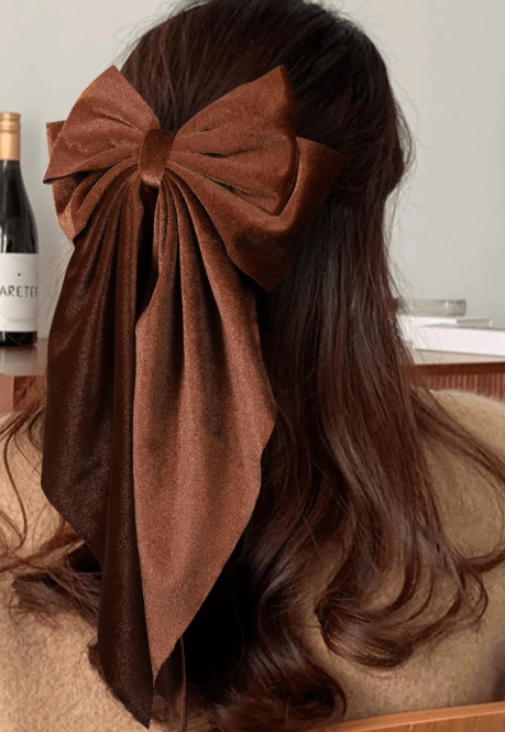 Brown Velvet Bow